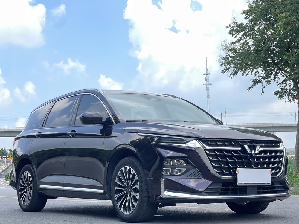 Capgemini Victory 2023 модель 2.0L DHT роскошная комплектация - фото 3