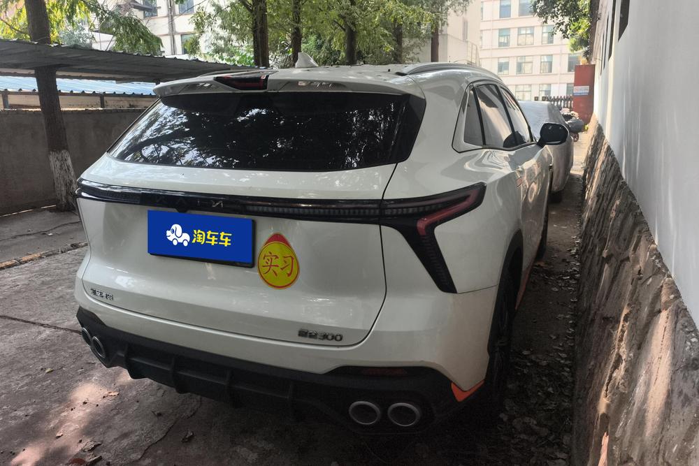 Kunlun 2023 модельного года Kunlun 300, высокогорная версия - фото 3