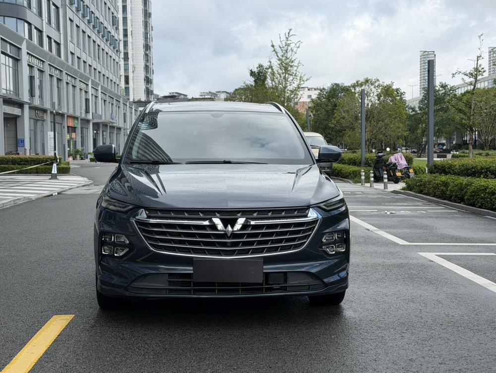 Capgemini Victory 2022 модель 280T CVT флагманская версия - фото 2