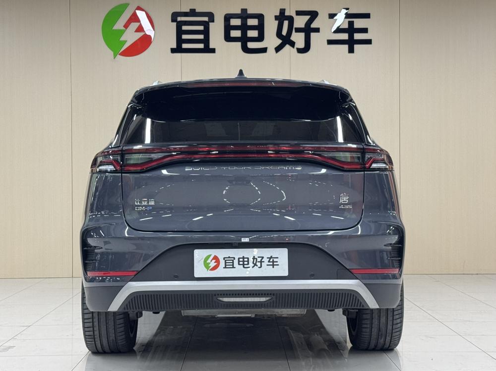 Tang DM 2022 модельного года DM-p 215KM полноприводная версия Premium - фото 4