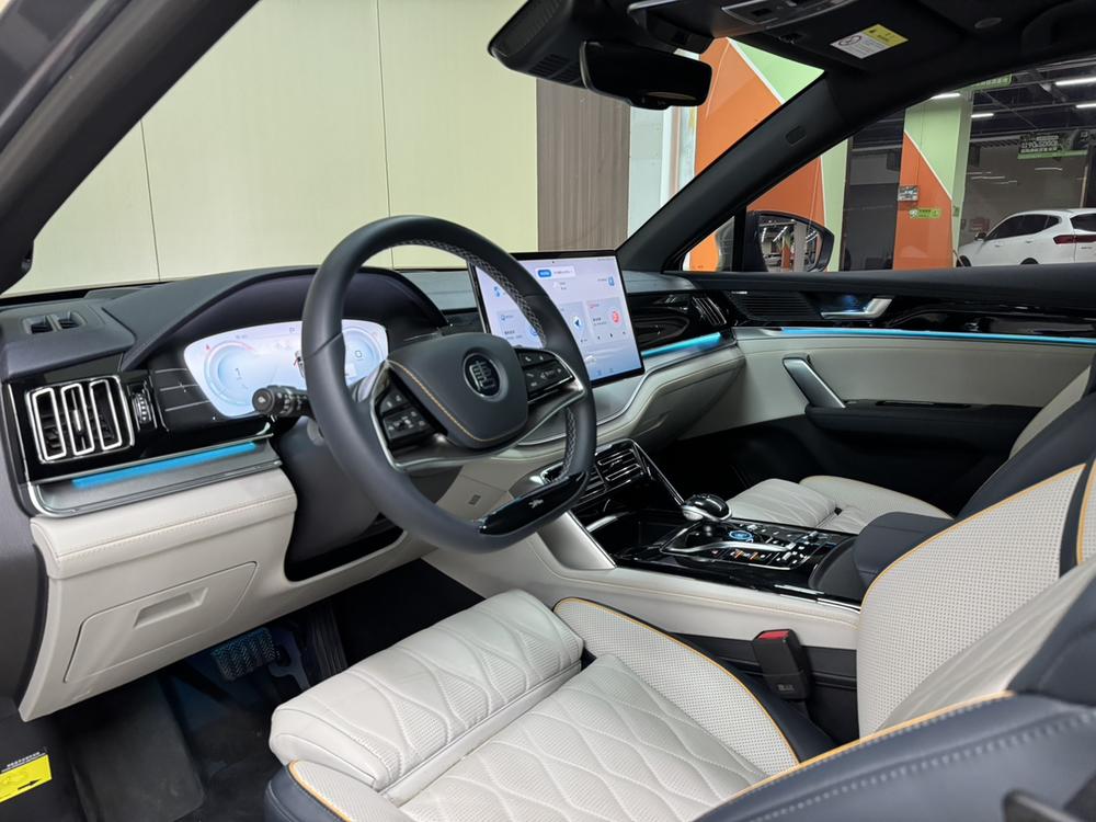 Tang DM 2022 модельного года DM-p 215KM полноприводная версия Premium - фото 12