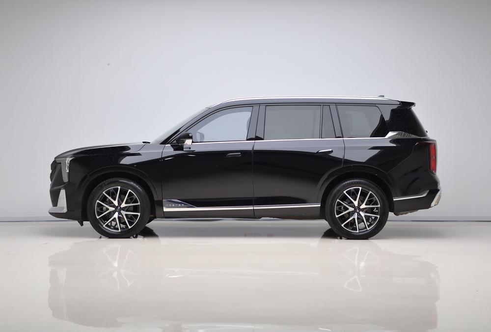 Trumpchi GS8 2022, серия Dual Engine, 2.0TM, гибридный полноприводный вариант Premium, 6 мест - фото 4