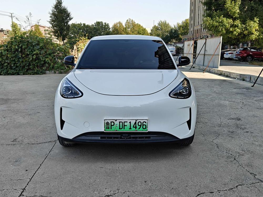 Xingyuan 2025, 310 км, молодёжная версия - фото 2