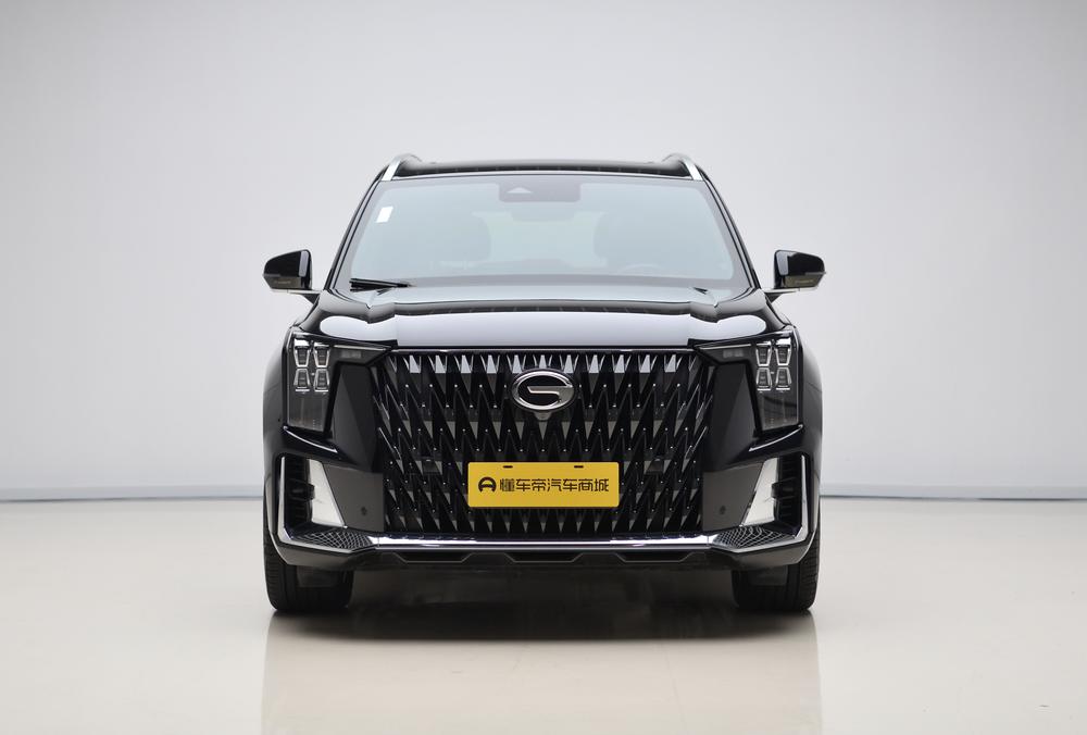 Trumpchi GS8 2022, серия Dual Engine, 2.0TM, гибридный полноприводный вариант Premium, 6 мест - фото 2