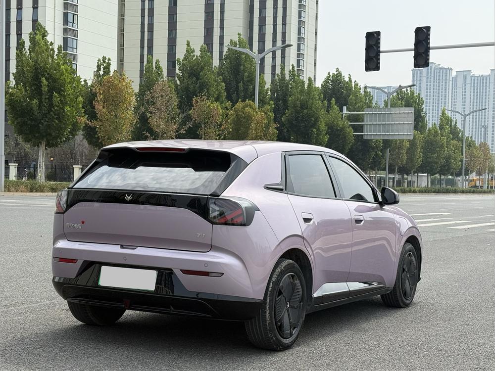 Beta T1 2025 модель 425 PRO - фото 6