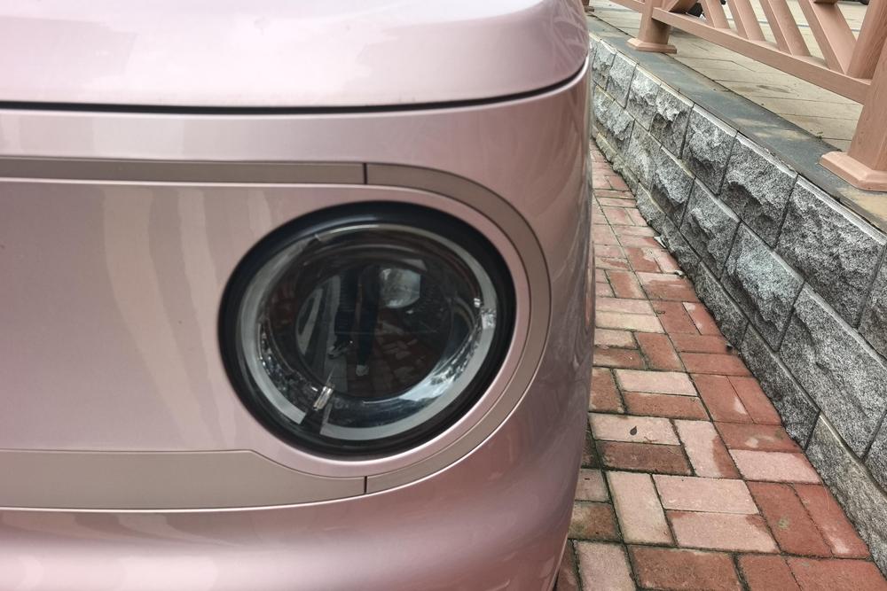 Panda 2024 200km Panda mini Медведь выносливости - фото 7