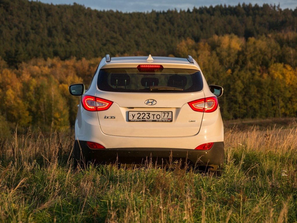Сзади