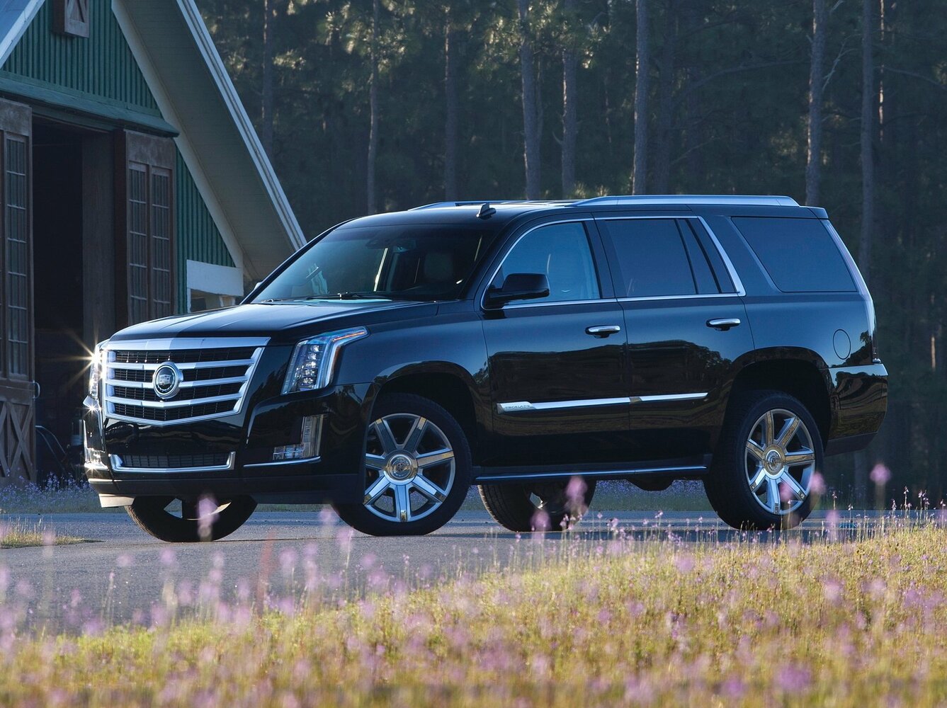 Главное