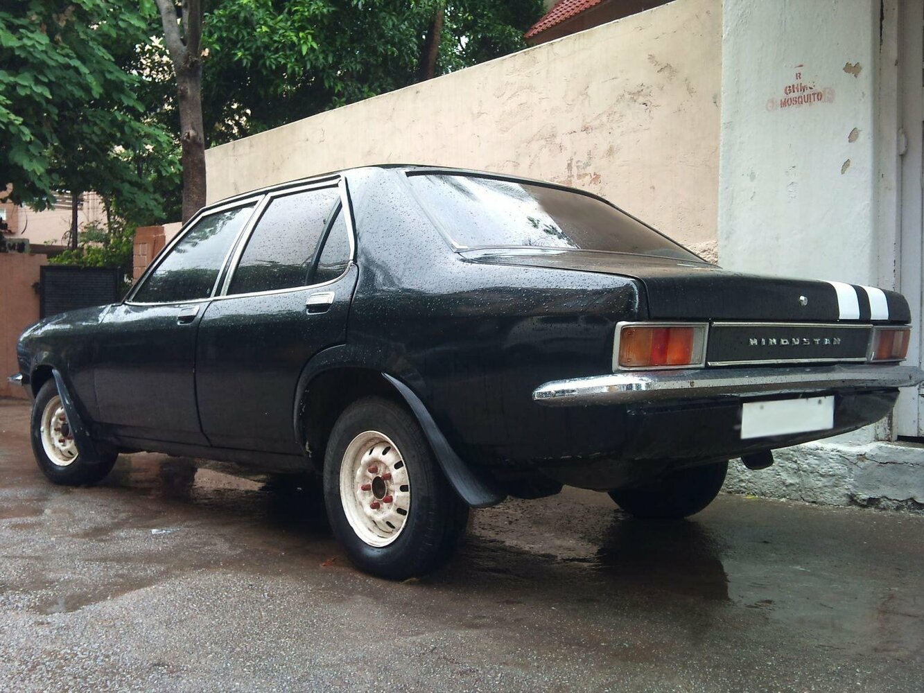 3/4 сзади