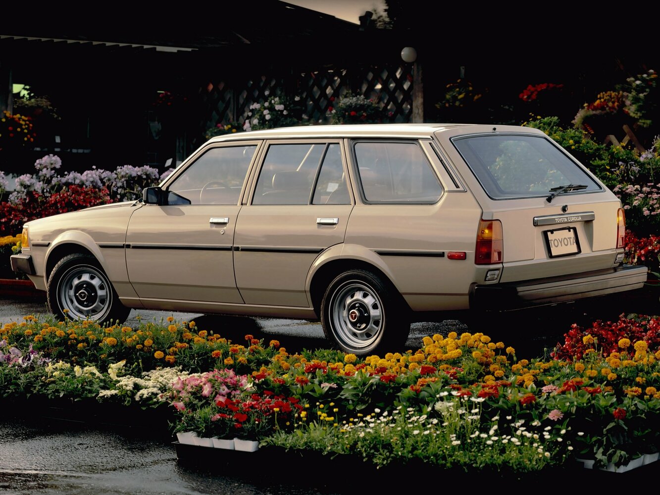 3/4 сзади