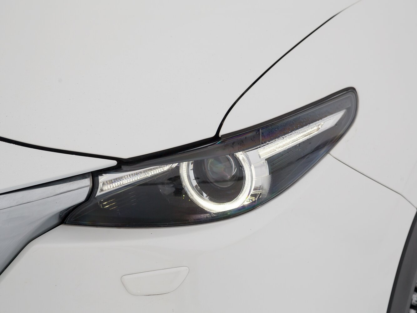light-front_1