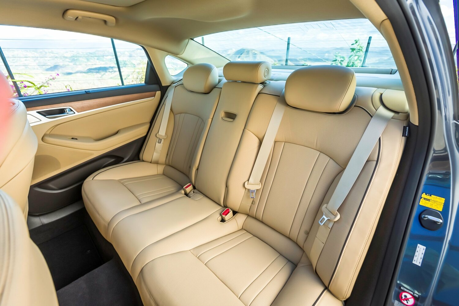 seat
