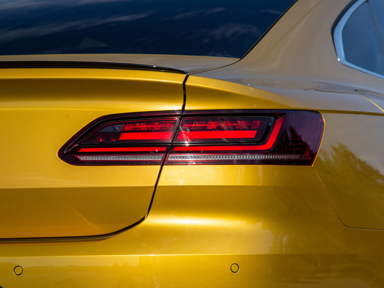 light-back_1