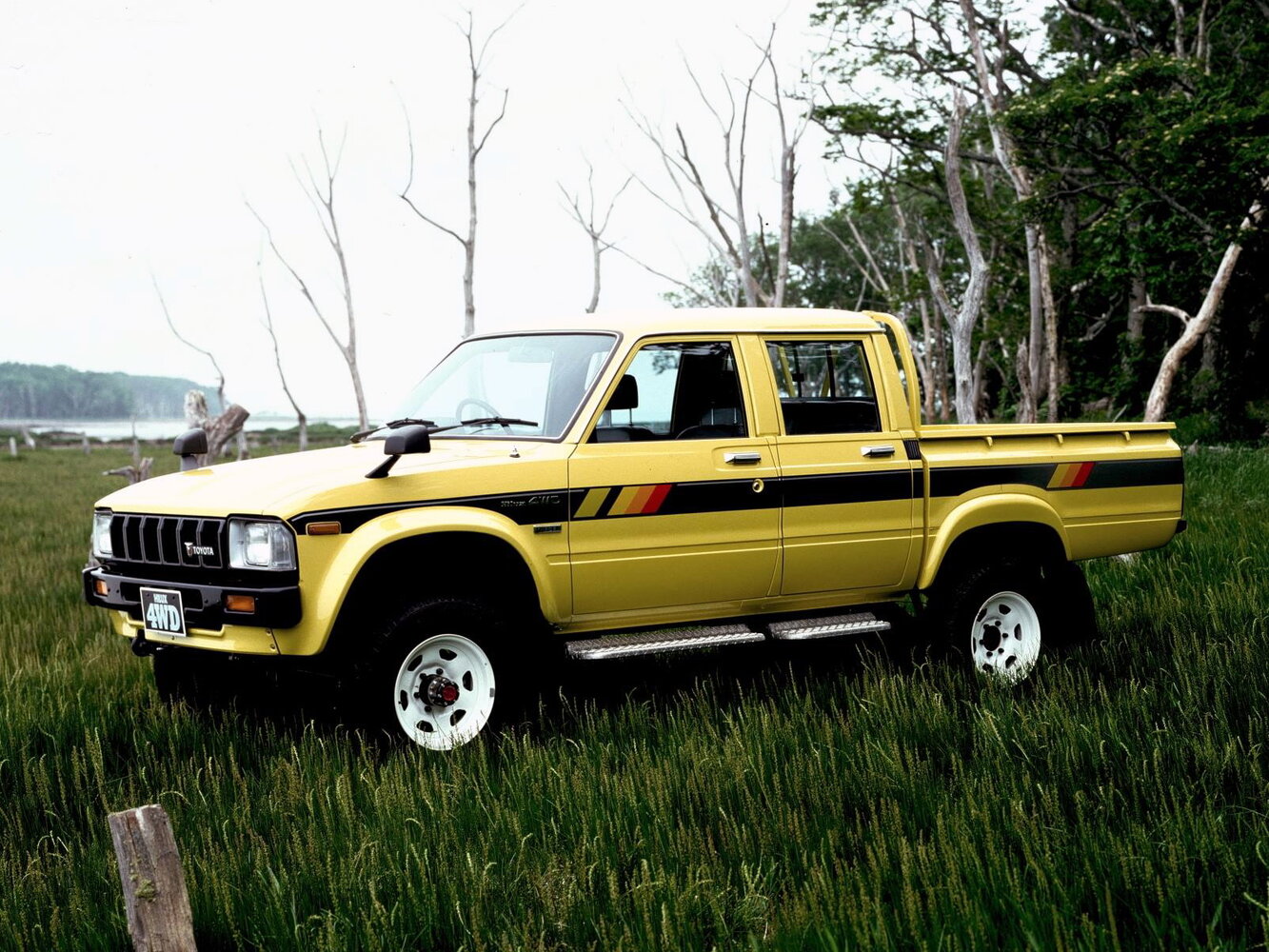 Главное