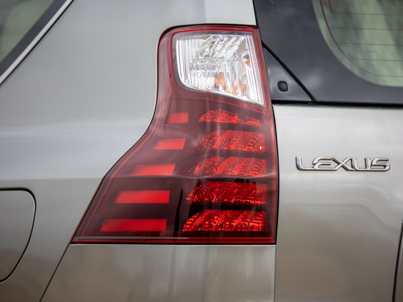 light-back_1