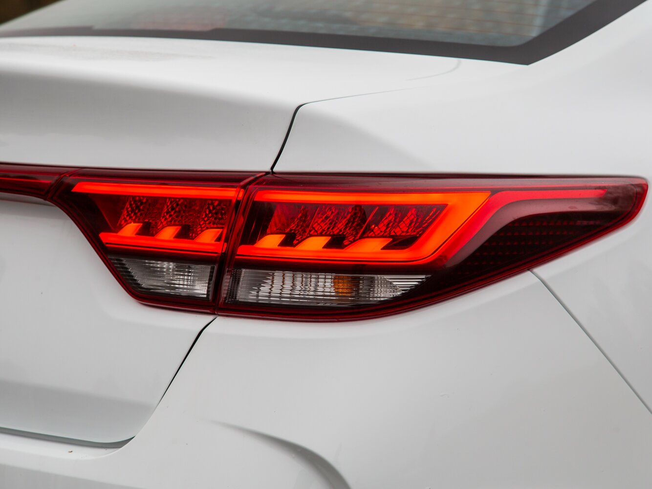 light-back_1