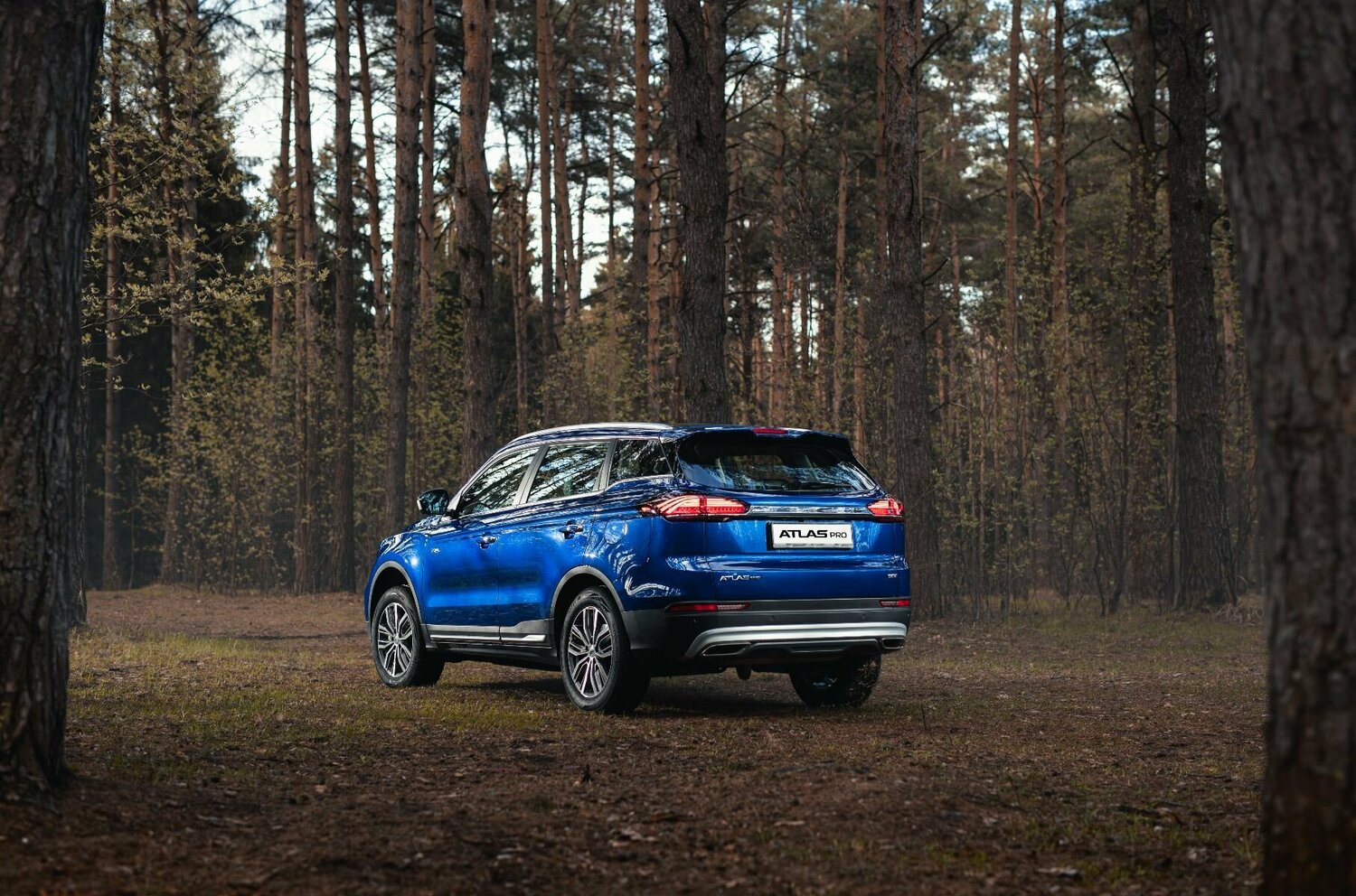 3/4 сзади