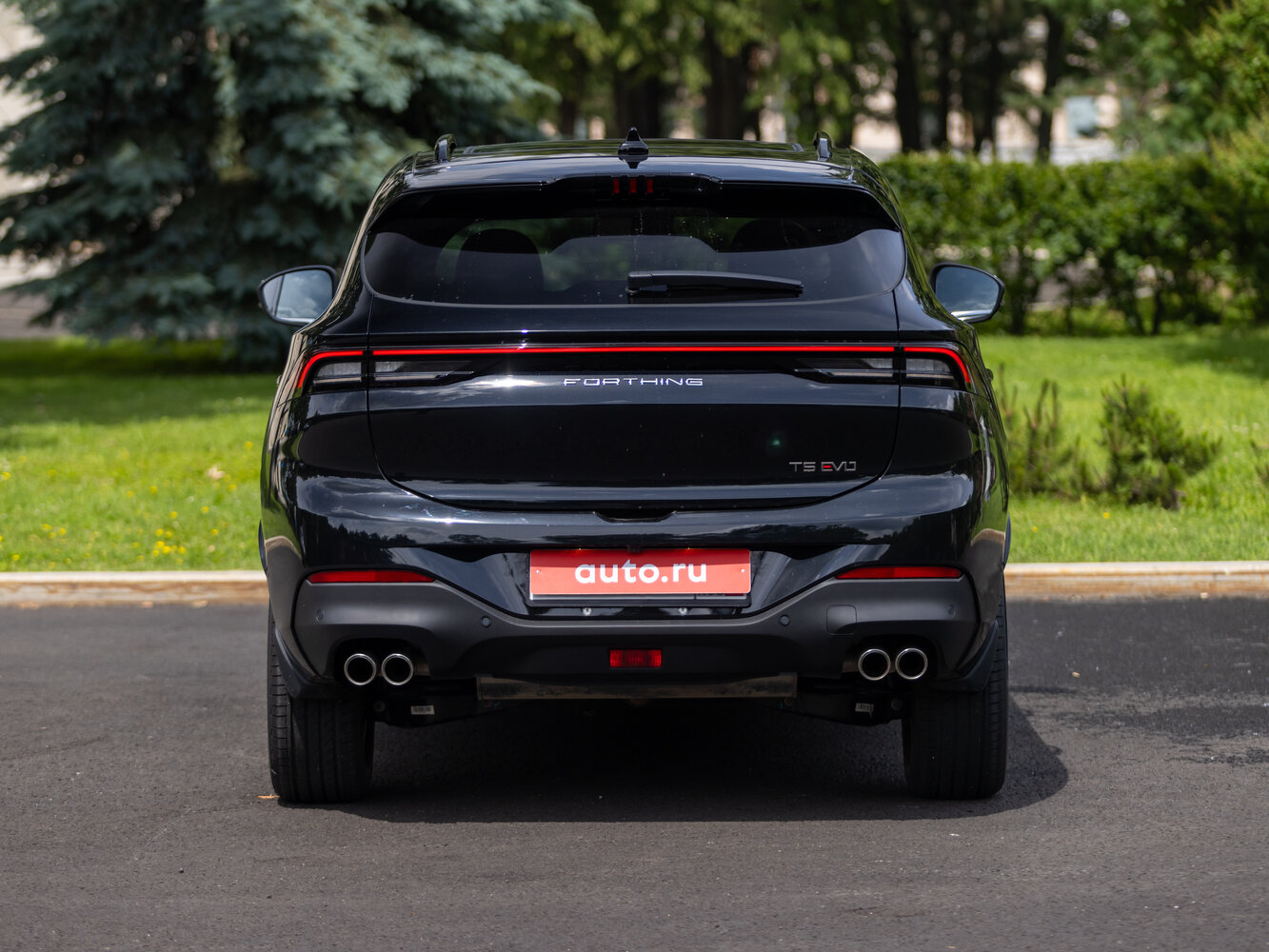 back_1