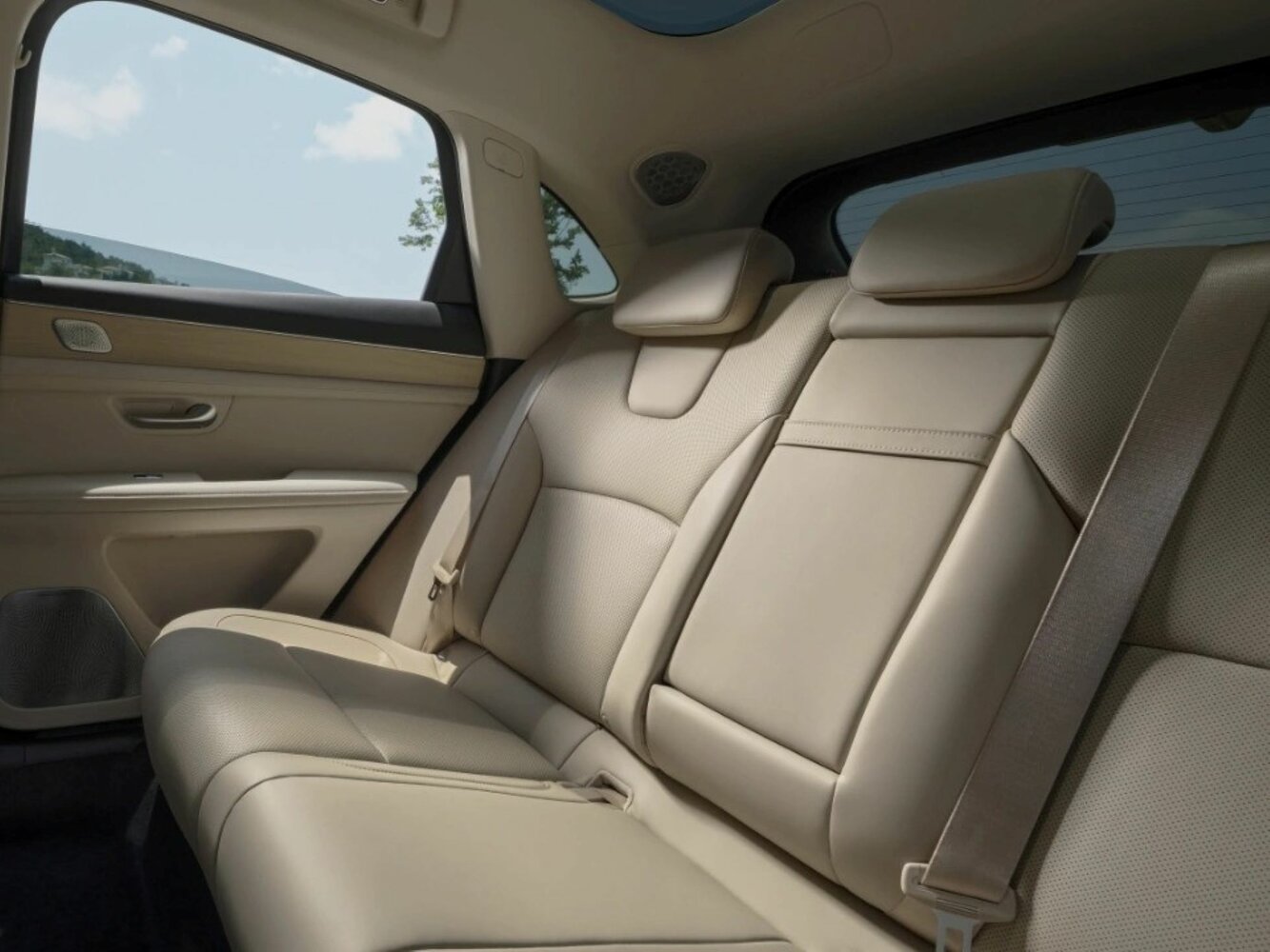 seat