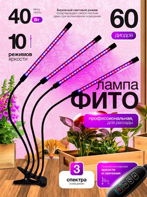 Фитолампа для растений