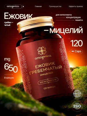 Ежовик гребенчатый капсулы