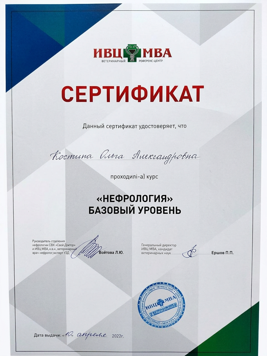 Диплом или сертификат врача Костина Ольга Александровна