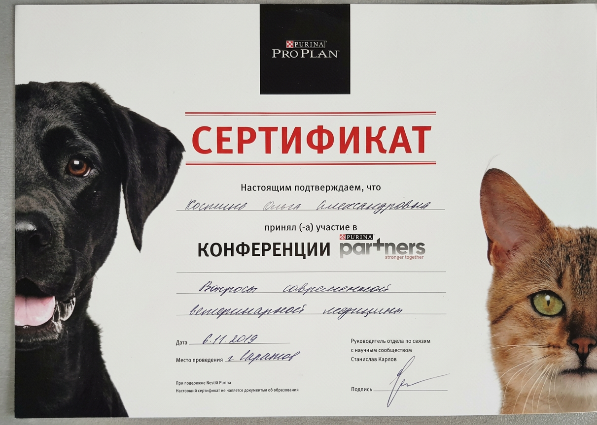 Диплом или сертификат врача Костина Ольга Александровна