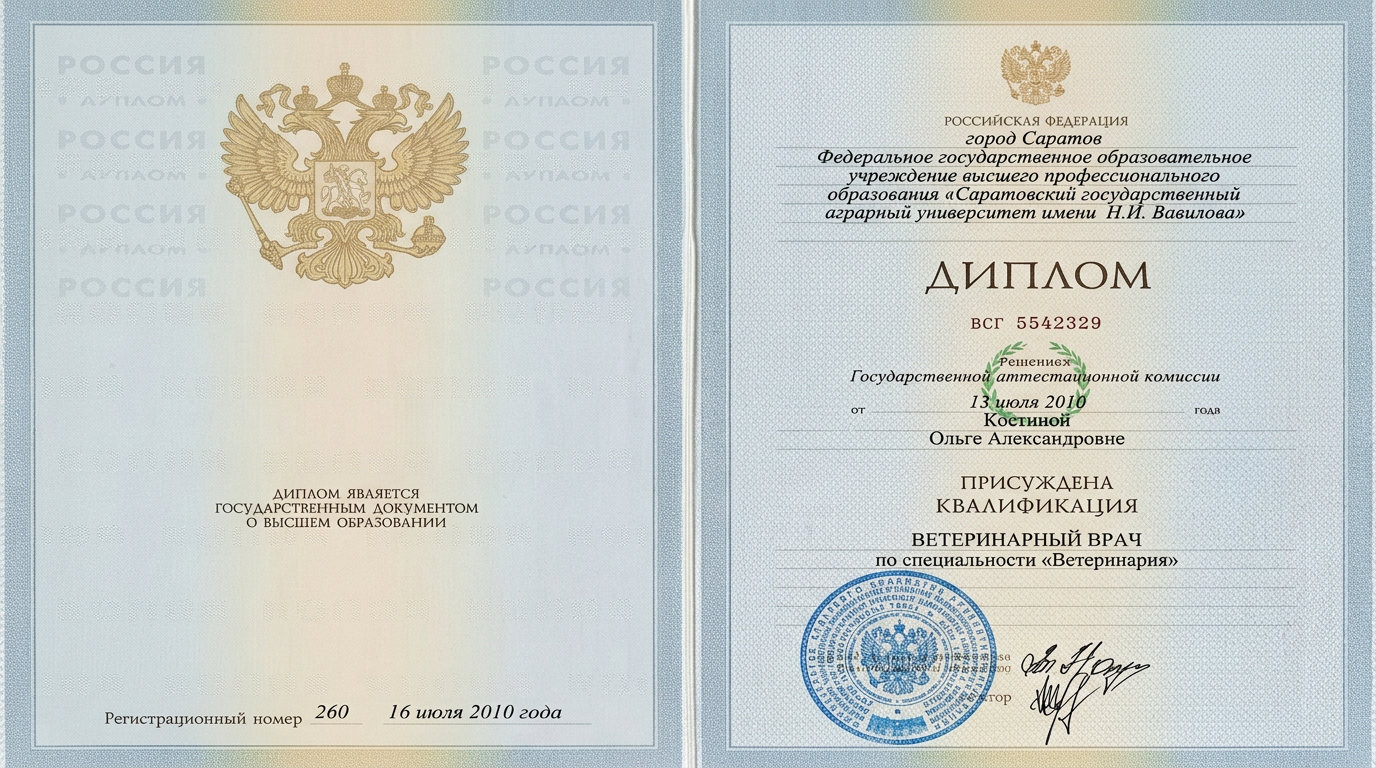 Диплом или сертификат врача Костина Ольга Александровна