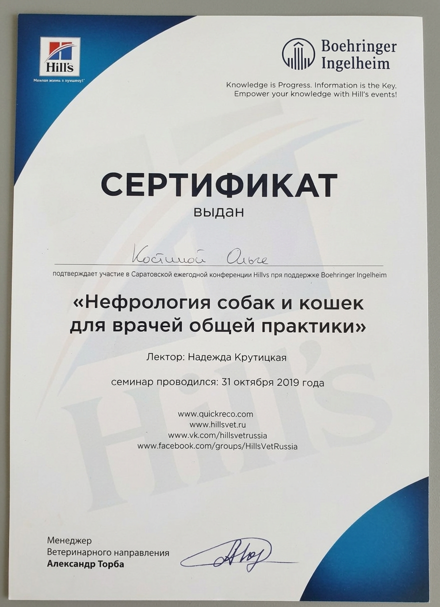 Диплом или сертификат врача Костина Ольга Александровна
