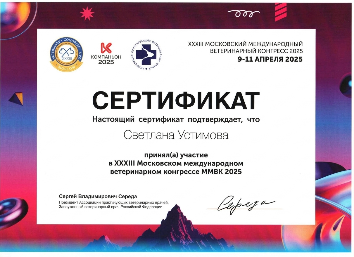 Диплом или сертификат врача Устимова Светлана Александровна