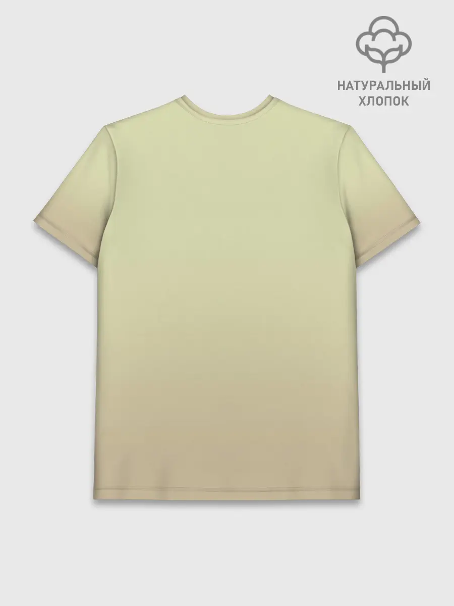 Мужская базовая футболка хлопок / Зарплату жене