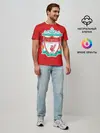 Мужская базовая футболка / F.C. LIVERPOOL