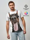 Мужская базовая футболка / Доберман / Doberman
