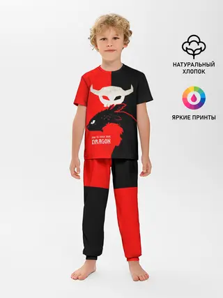 Детская пижама с брюками / ночная фурия