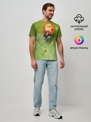 Мужская базовая футболка / Божья коровка