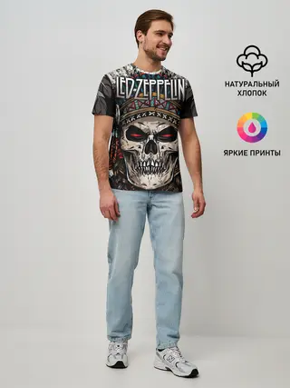 Мужская базовая футболка / Led Zeppelin