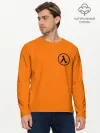 Мужской лонгслив базовый / HALF-LIFE
