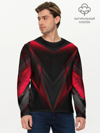 Мужской лонгслив базовый / Pro Gamer