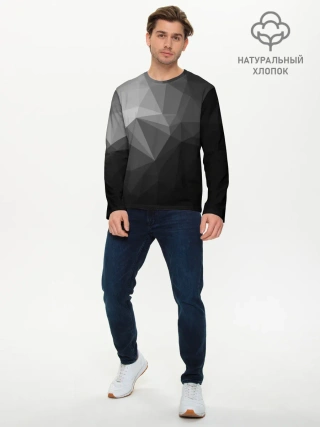 Мужской лонгслив базовый / Poly Abstract