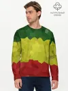 Мужской лонгслив базовый / Эфиопия