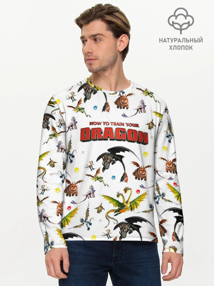 Мужской лонгслив базовый / Как приручить дракона