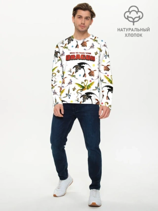 Мужской лонгслив базовый / Как приручить дракона