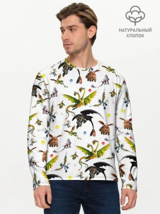 Мужской лонгслив базовый / Как приручить дракона