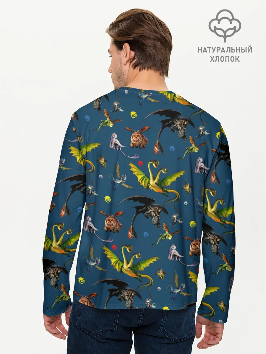 Мужской лонгслив базовый / Как приручить дракона
