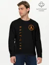Мужской лонгслив базовый / HALF-LIFE