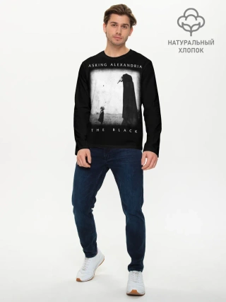 Мужской лонгслив базовый / Asking Alexandria