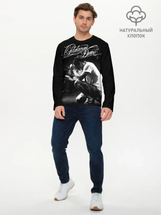 Мужской лонгслив базовый / Parkway Drive