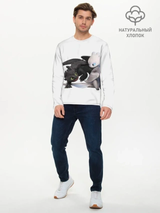 Мужской лонгслив базовый / Как приручить дракона