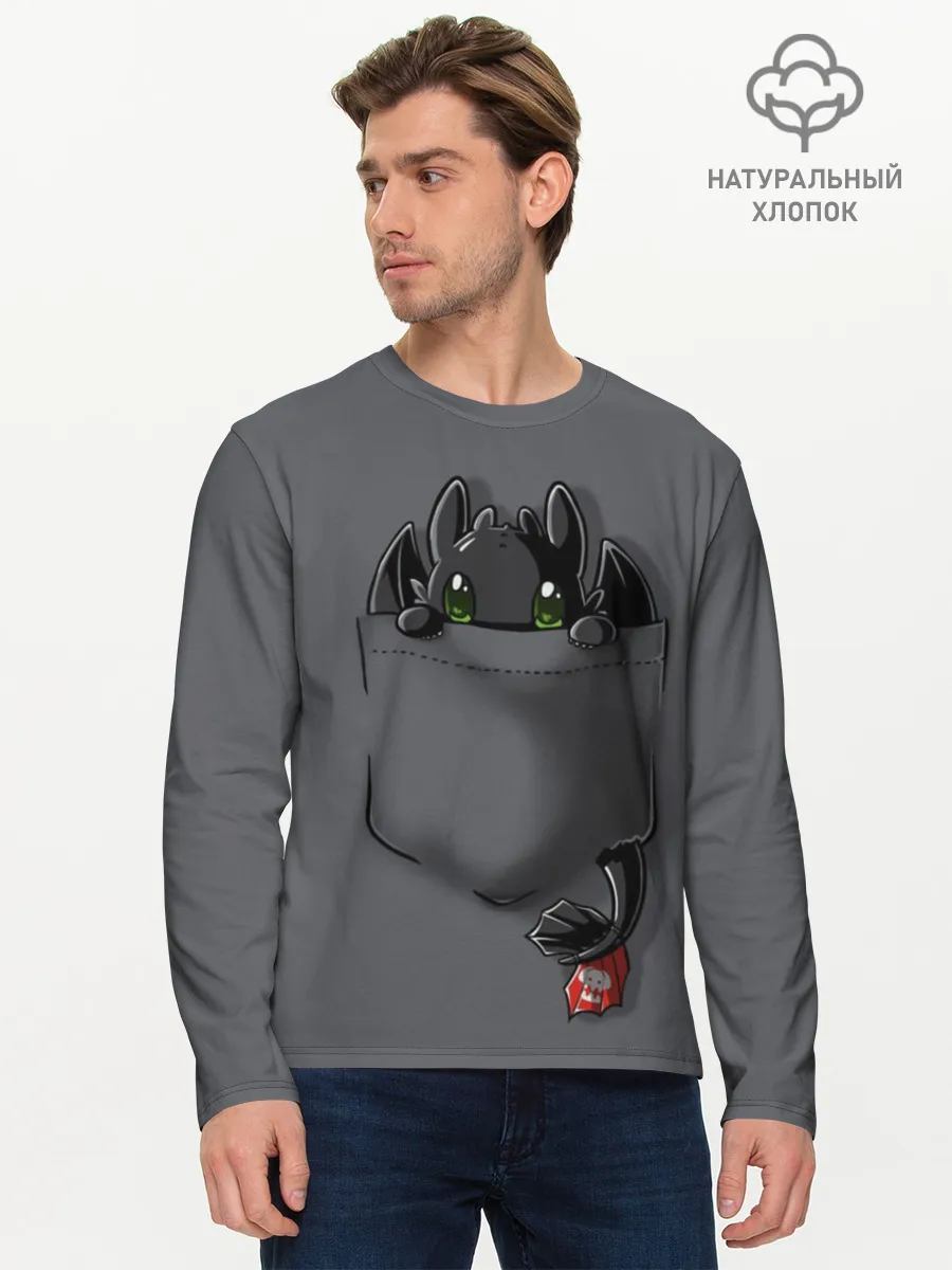 Мужской лонгслив базовый / Как приручить дракона