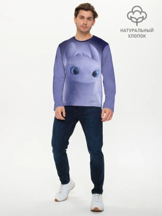 Мужской лонгслив базовый / Как приручить дракона